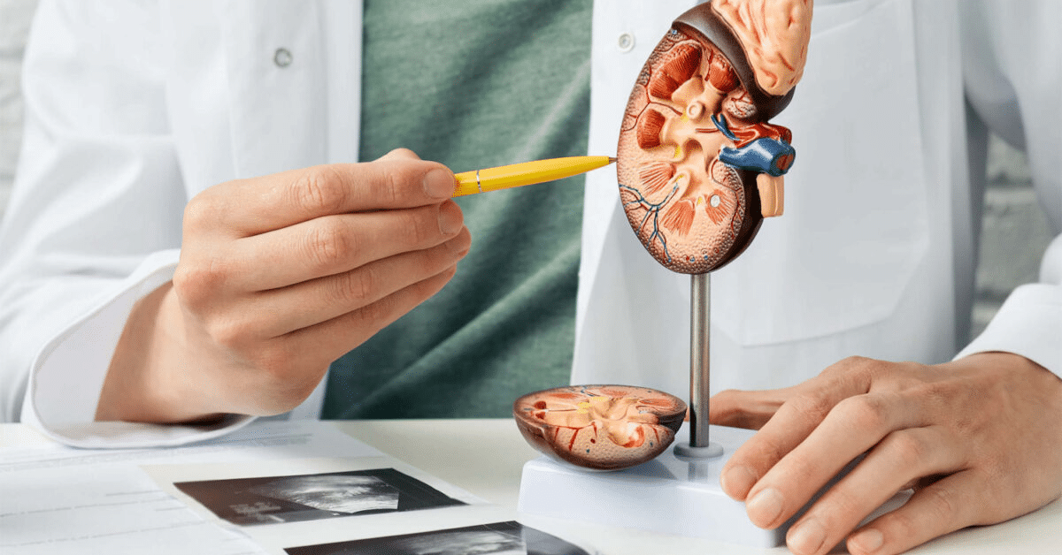 Urology Specialist Guide 2025